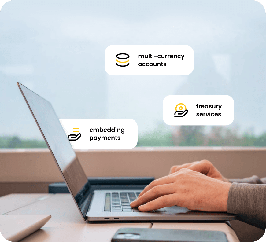Digital marketplaces & SaaS